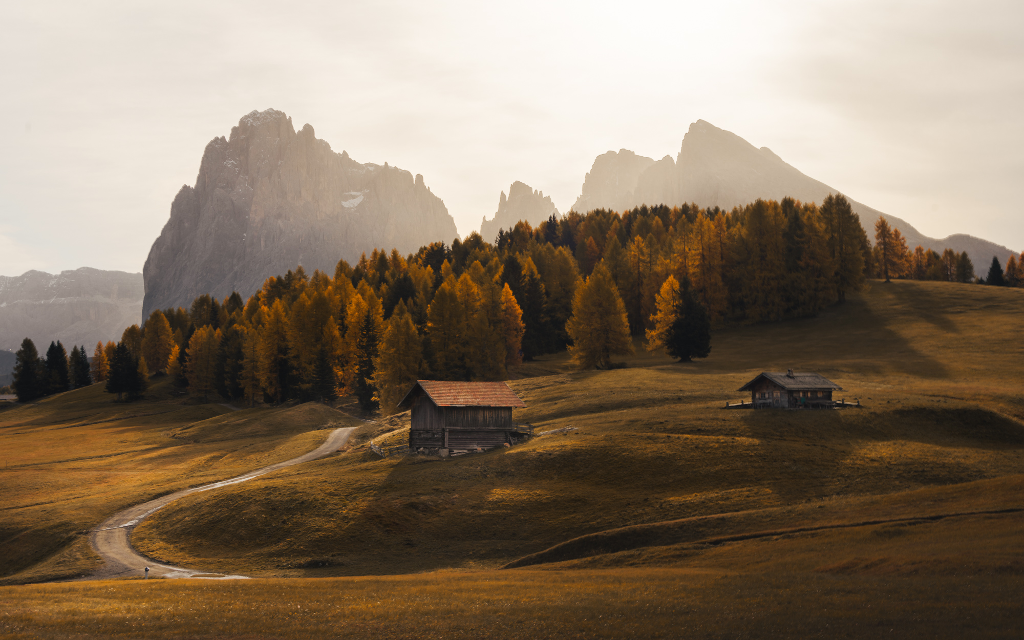 Chalets et mélèzes dorés à l'Alpe di Siusi dans les Dolomites