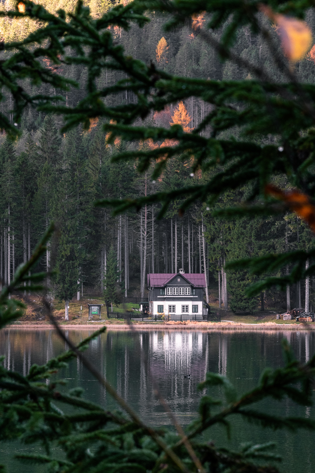 Maison au bord d'un lac entourée de forêt de sapins