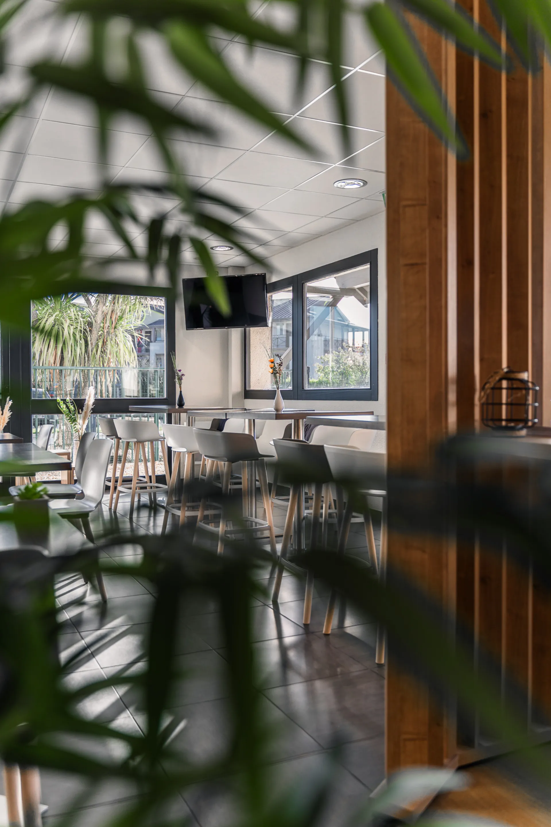 Photographie de salle de restaurant, ambiance végétale et lumière naturelle