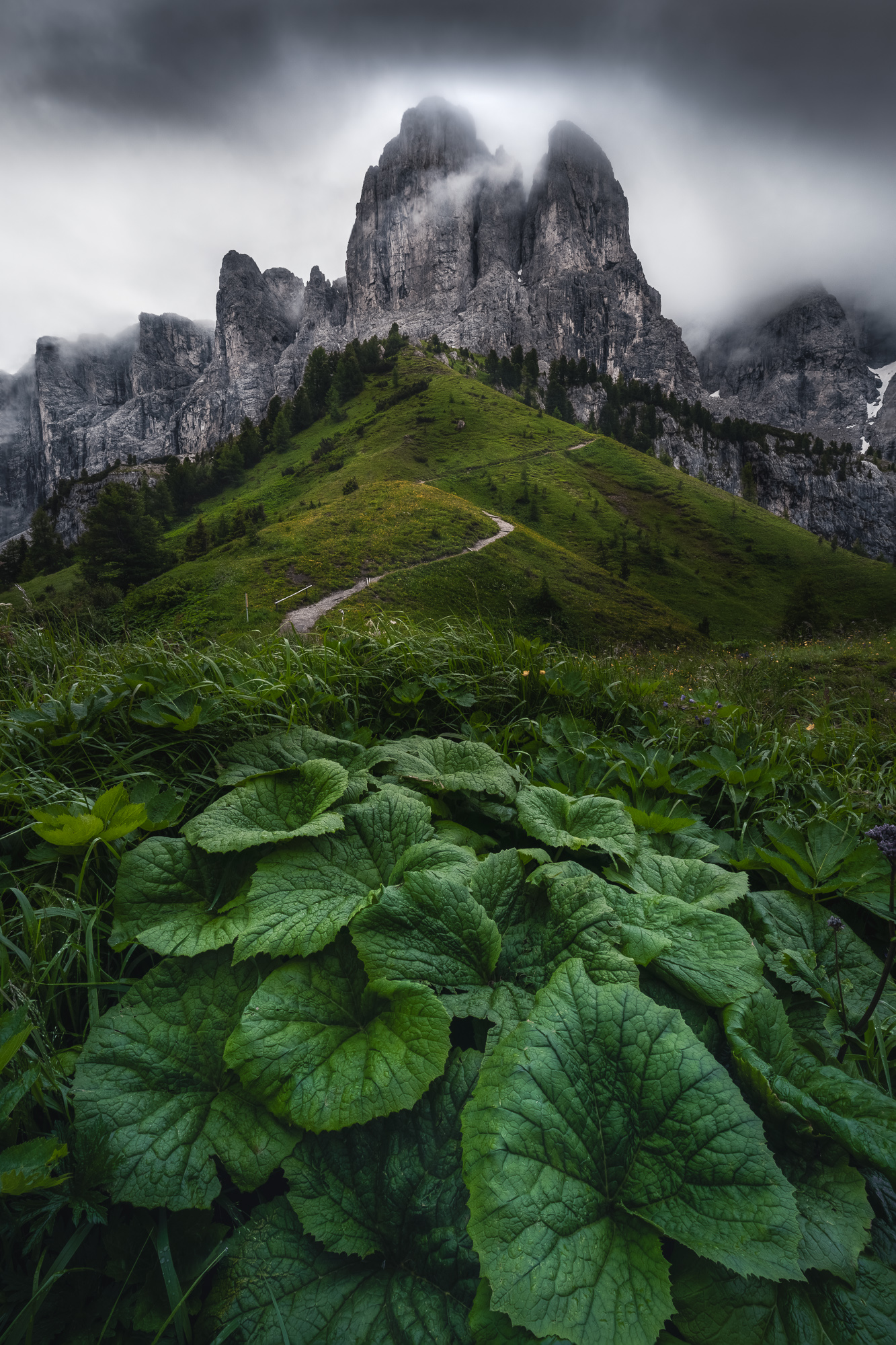 Sentier verdoyant menant aux sommets des Dolomites dans la brume