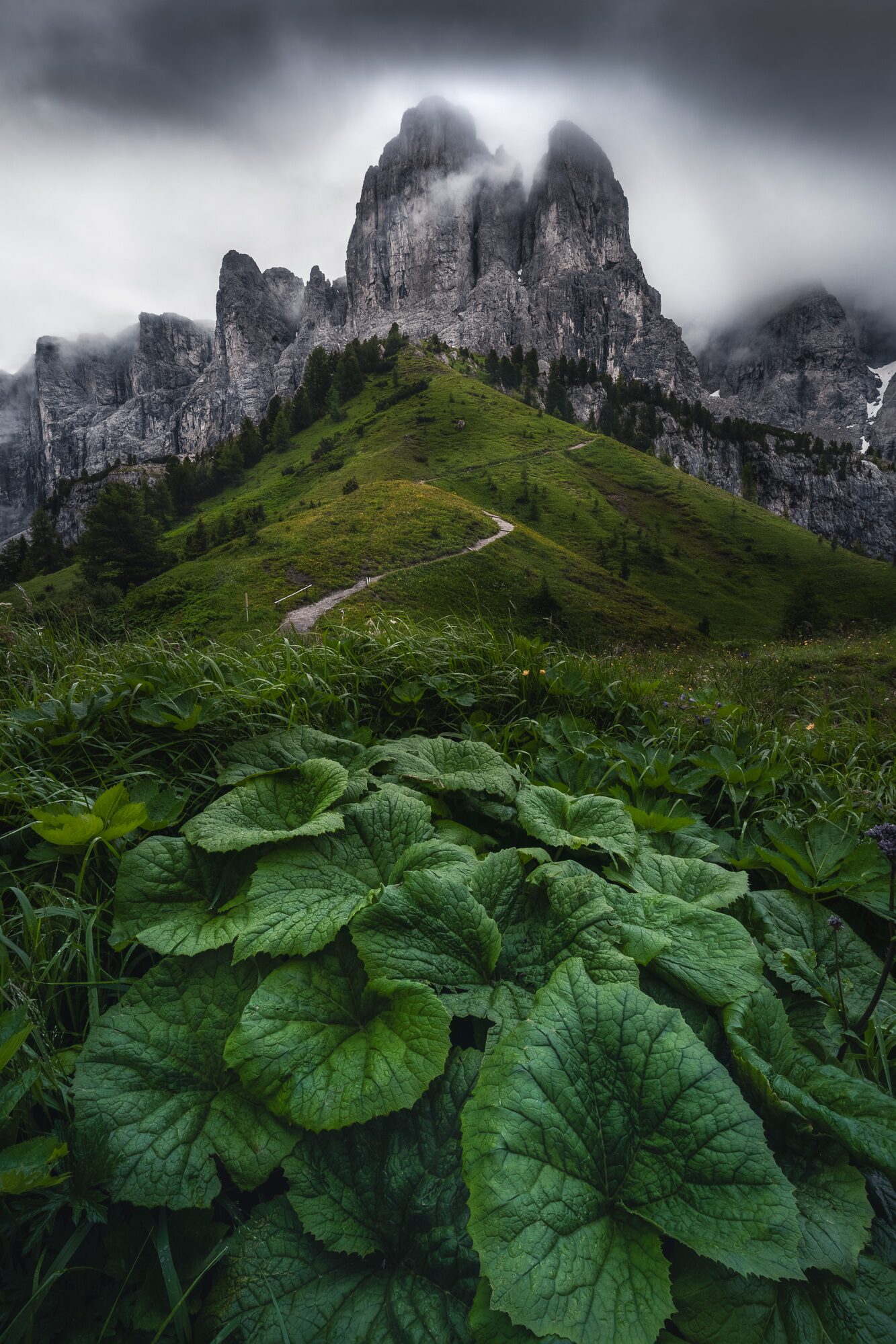 Sentier verdoyant menant aux sommets des Dolomites dans la brume